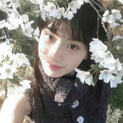 马尾藻海的奇迹